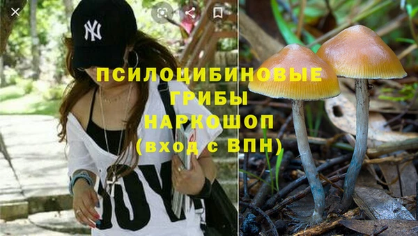 сатива Переславль-Залесский