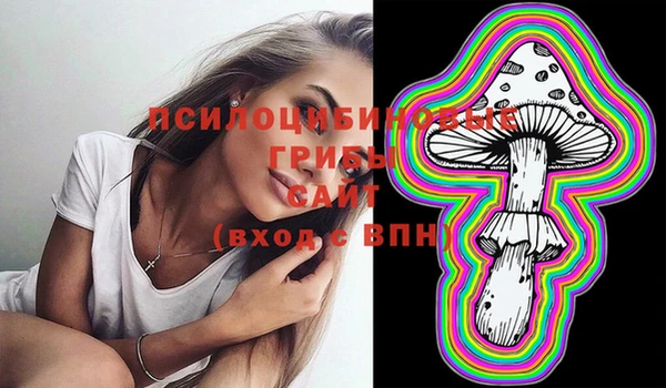 стафф Пересвет