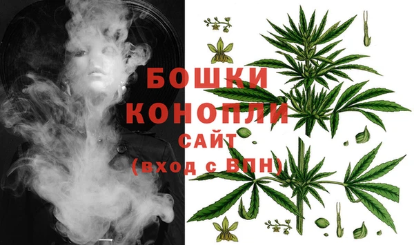 сатива Переславль-Залесский